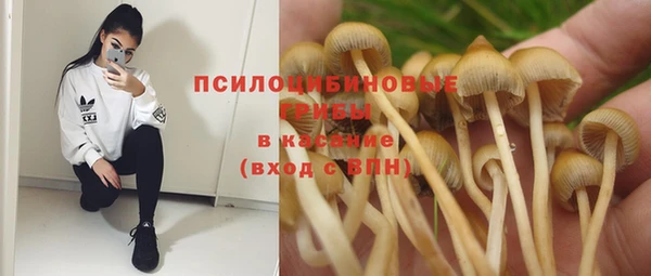 бутират Армянск