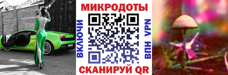 Псилоцибиновые грибы мицелий  hydra ссылки  Макарьев 
